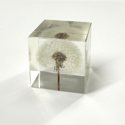 Dandelion Paperweight